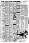 Lurgan Mail Thursday 19 June 1980 Page 19