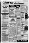 Lurgan Mail Thursday 11 December 1980 Page 25