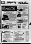 Lurgan Mail Thursday 23 April 1981 Page 19