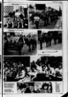 Lurgan Mail Thursday 15 July 1982 Page 13