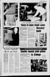 Lurgan Mail Thursday 22 January 1987 Page 17