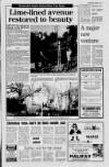 Lurgan Mail Thursday 03 December 1987 Page 13