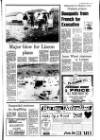 Lurgan Mail Thursday 04 February 1988 Page 13