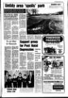 Lurgan Mail Thursday 24 March 1988 Page 11
