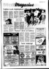Lurgan Mail Thursday 07 April 1988 Page 15