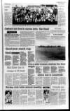 Lurgan Mail Thursday 13 April 1989 Page 41