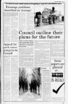 Lurgan Mail Thursday 14 February 1991 Page 13