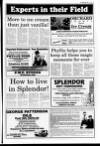 Lurgan Mail Thursday 21 May 1992 Page 19