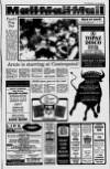 Lurgan Mail Thursday 29 July 1993 Page 19