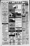 Lurgan Mail Thursday 02 September 1993 Page 31