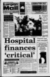 Lurgan Mail Thursday 25 November 1993 Page 1
