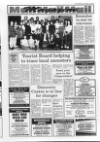 Lurgan Mail Thursday 13 January 1994 Page 29