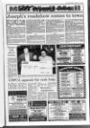 Lurgan Mail Thursday 20 January 1994 Page 29