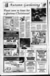 Lurgan Mail Thursday 08 September 1994 Page 22