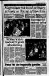 Lurgan Mail Thursday 19 January 1995 Page 27