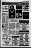 Lurgan Mail Thursday 23 February 1995 Page 19
