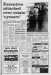 Lurgan Mail Thursday 06 July 1995 Page 13