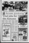 Lurgan Mail Thursday 07 September 1995 Page 17