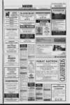 Lurgan Mail Thursday 07 September 1995 Page 31