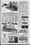 Lurgan Mail Thursday 14 September 1995 Page 13