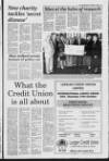 Lurgan Mail Thursday 19 October 1995 Page 17