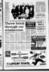 Lurgan Mail Thursday 11 January 1996 Page 7