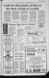 Portadown Times Friday 02 December 1983 Page 11