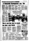 Portadown Times Friday 25 April 1986 Page 19