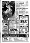 Portadown Times Friday 20 November 1987 Page 5