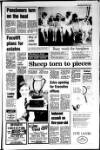 Portadown Times Friday 29 April 1988 Page 3