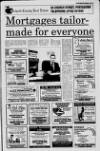 Portadown Times Friday 01 February 1991 Page 25