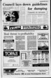 Portadown Times Friday 12 April 1991 Page 27