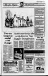 Portadown Times Friday 15 January 1993 Page 17