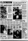 Portadown Times Friday 05 February 1993 Page 29