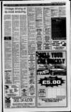 Portadown Times Friday 18 June 1993 Page 39