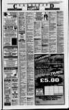 Portadown Times Friday 18 June 1993 Page 43