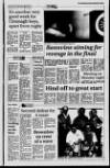 Portadown Times Friday 29 October 1993 Page 43