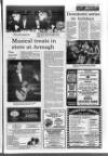 Portadown Times Friday 07 January 1994 Page 19