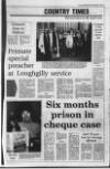 Portadown Times Friday 03 February 1995 Page 33