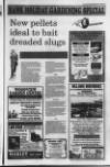 Portadown Times Friday 05 May 1995 Page 19