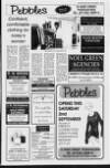 Portadown Times Friday 01 September 1995 Page 27