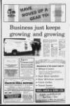 Portadown Times Friday 24 November 1995 Page 33