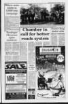Portadown Times Friday 01 December 1995 Page 13