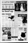 Portadown Times Friday 05 April 1996 Page 13