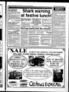 Market Harborough Advertiser and Midland Mail Thursday 23 December 1993 Page 17