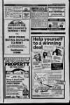 Eastbourne Herald Saturday 12 November 1988 Page 81