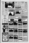 Buchan Observer and East Aberdeenshire Advertiser Tuesday 12 January 1993 Page 19