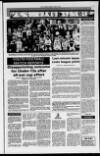 Mearns Leader Friday 03 June 1988 Page 27