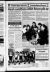 Mearns Leader Friday 17 December 1993 Page 39