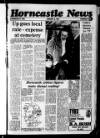 Horncastle News Thursday 06 January 1977 Page 1